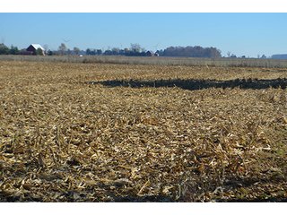 Tracts 4 & 5 - FARMLAND AUCTION - 165.5+/- ACRES OFFERED IN 5 TRACTS OR COMBINATIONS IN EAST ALLEN COUNTY